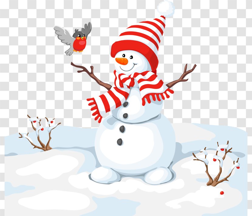 Bird Snowman Christmas Illustration - Photography - White Transparent PNG