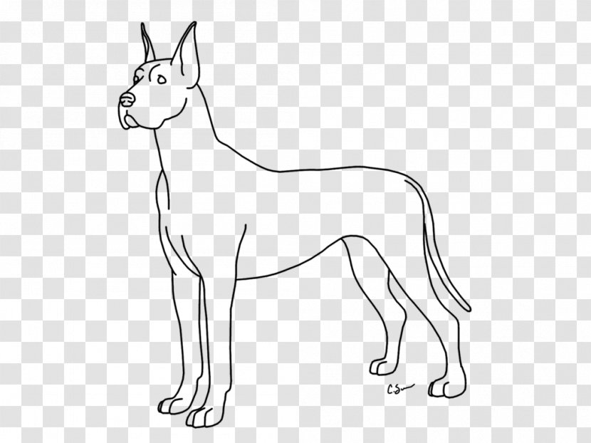 Great Dane Boston Terrier Pyrenees Coloring Book Puppy Transparent PNG