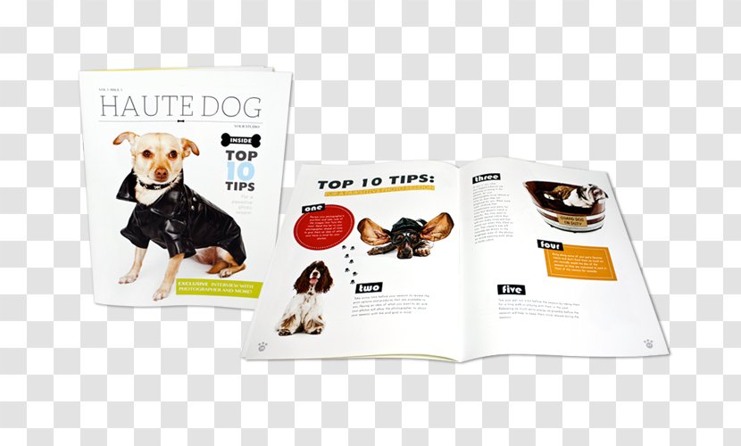 Brochure Printing Book Dog Transparent PNG