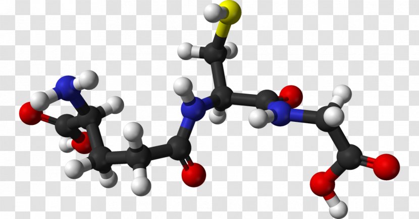 Glutathione Antioxidant Cell Redox Radical - Cysteine - Glutamic Acid Transparent PNG