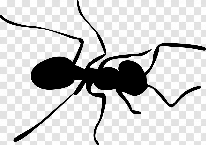 Ant Insect Pest Membrane-winged Cartoon - Blackandwhite Transparent PNG