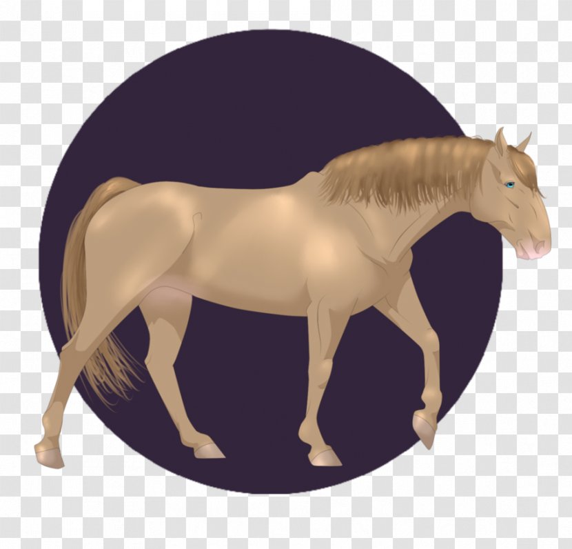 Mustang Stallion Mare Rein Halter - Horse Transparent PNG