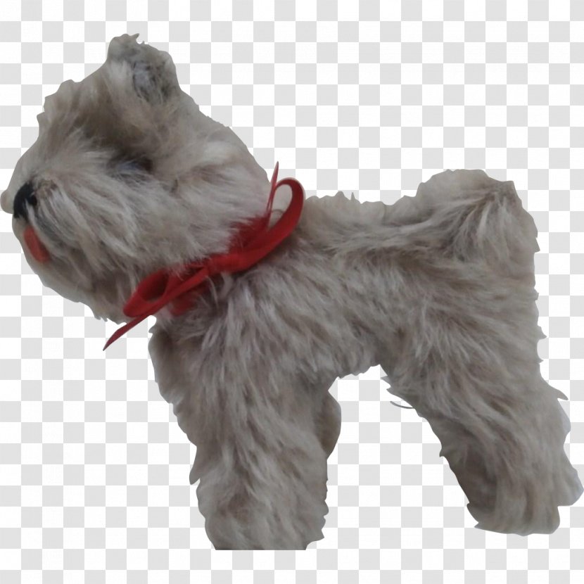 Miniature Schnauzer Soft-coated Wheaten Terrier Schnoodle Tibetan Companion Dog - Small Transparent PNG