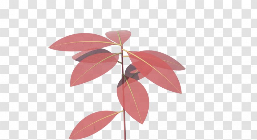 Petal Leaf - Plant Transparent PNG