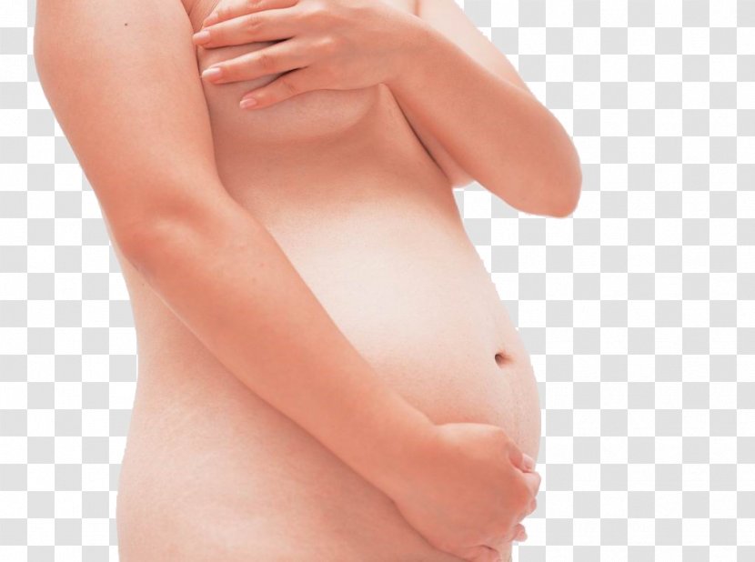 Pregnancy Mother Abdomen Woman - Heart - Pregnant Woman,belly,pregnancy,Mother,Pregnant Transparent PNG