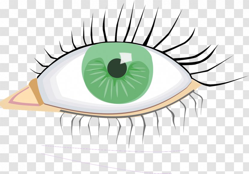 Clip Art Eye Injury Image Iris - Heart Transparent PNG
