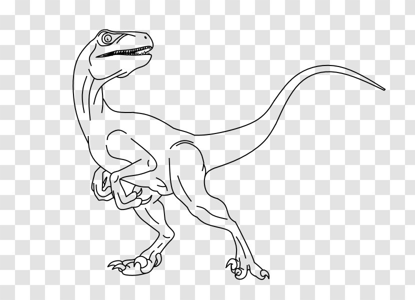 Velociraptor Line Art Drawing Dinosaur - Wildlife Transparent PNG