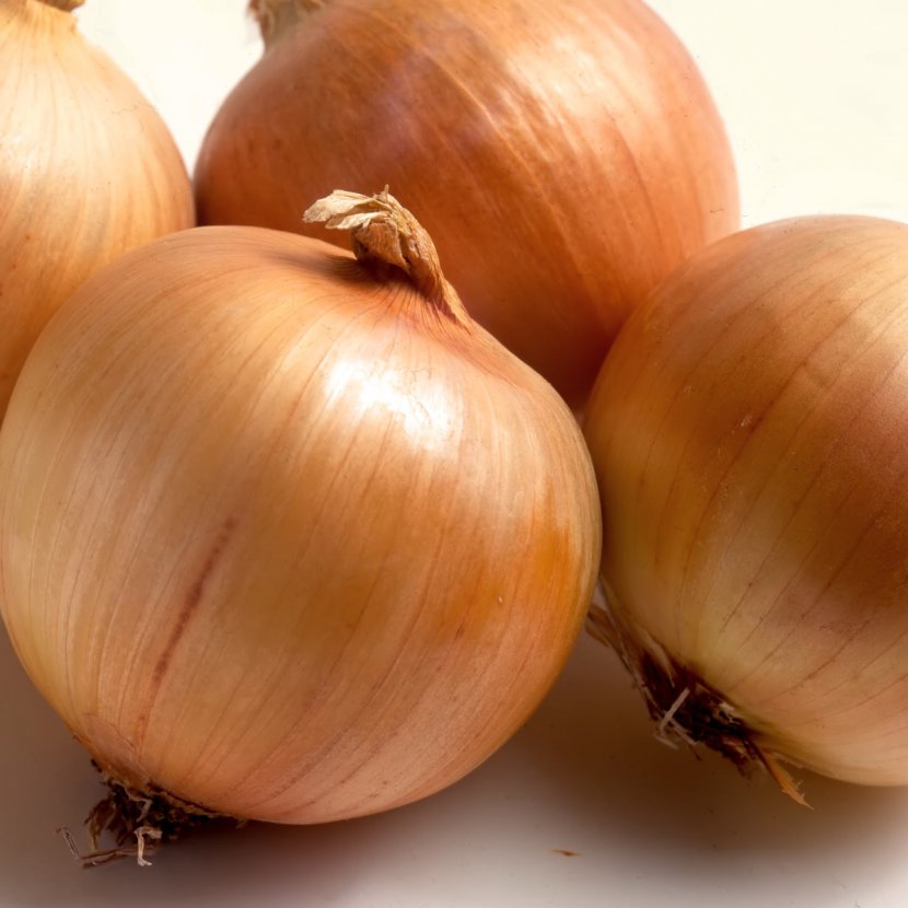 Ukraine Onion Seed Price Cultivar - Sales Transparent PNG