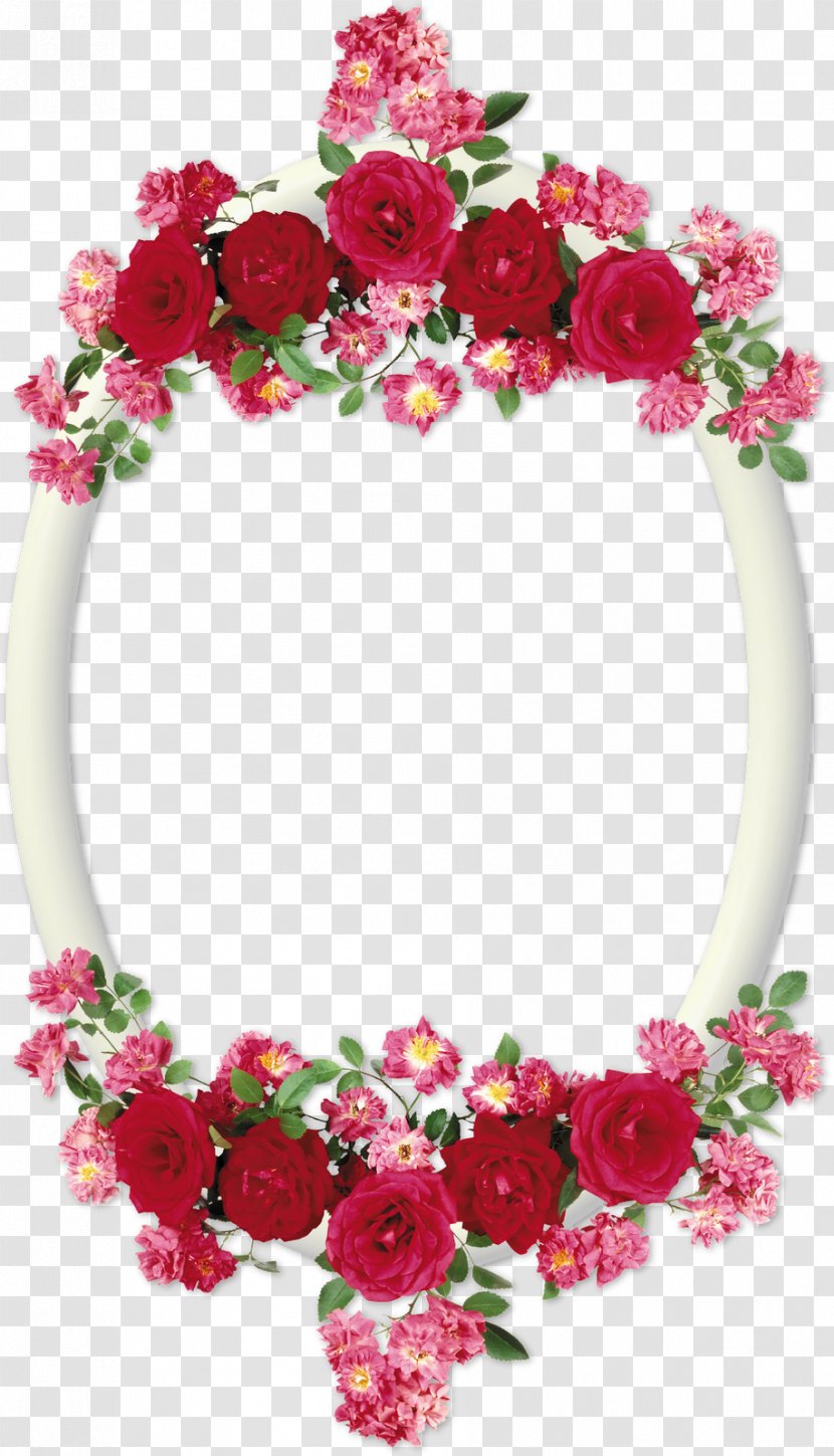 Picture Frames Photography Pink - Cut Flowers - Borders Transparent PNG