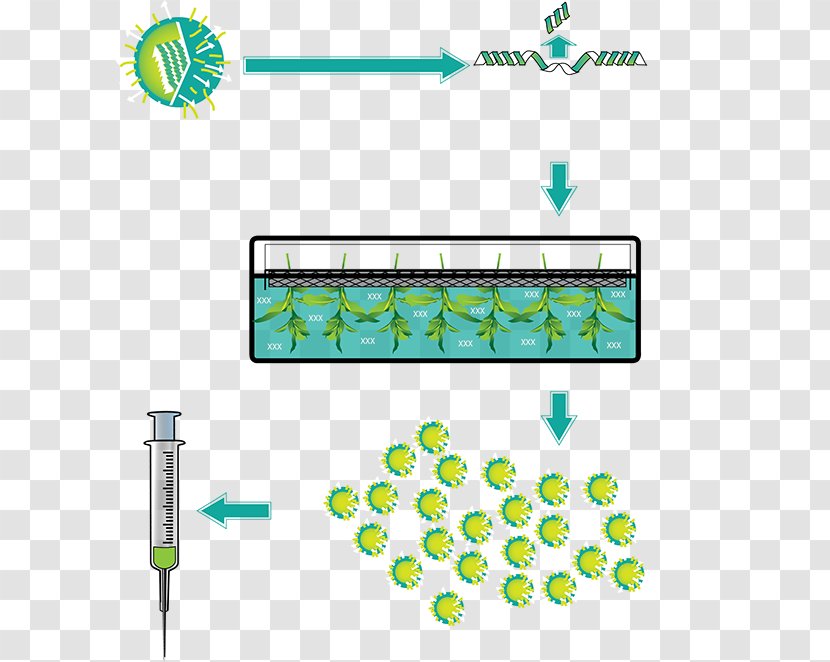 Tree Line Technology Point - Area - Influenza Vaccine Transparent PNG