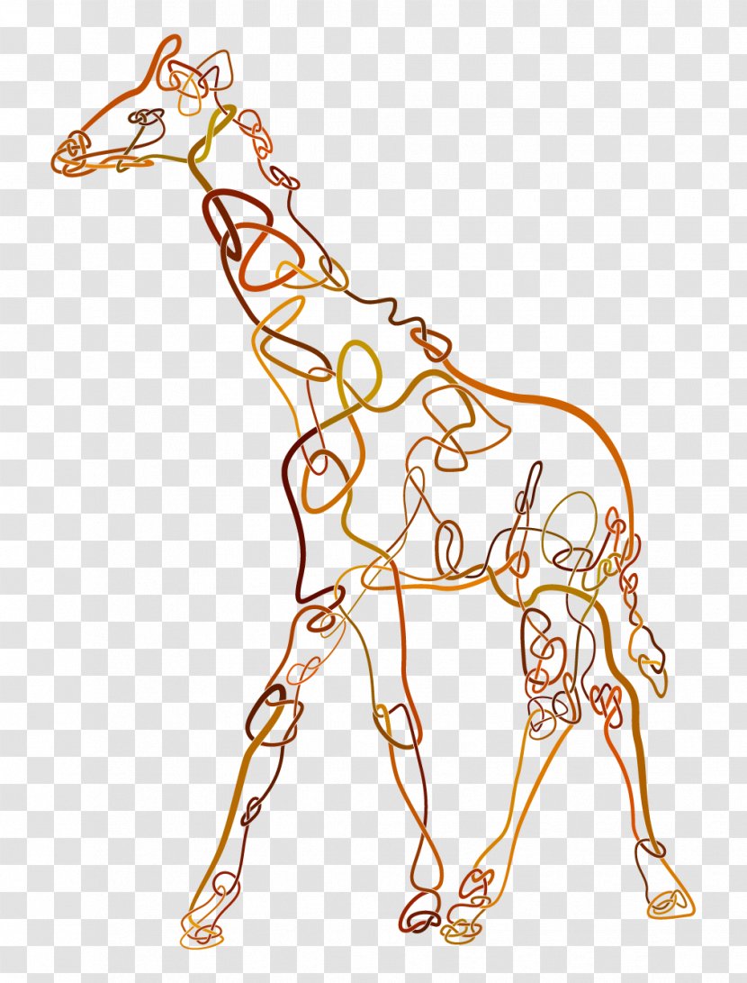Giraffe Mammal Animal Horse Vertebrate - Organism Transparent PNG