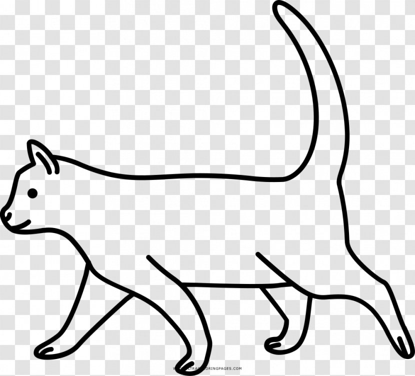 Whiskers Domestic Short-haired Cat Wildcat Coloring Book - Wild Transparent PNG