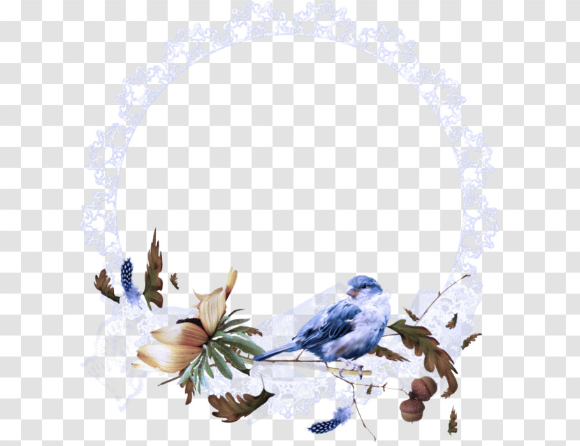 Bluebird Songbird Plant Perching Bird Bird Transparent PNG