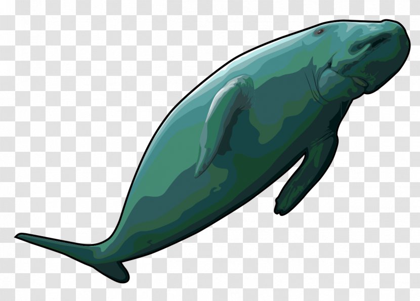 Sea Cows Steller's Cow Common Bottlenose Dolphin Dugong Clip Art - Whale Transparent PNG