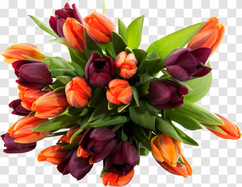 Flower Bouquet Display Resolution Cut Flowers Desktop Wallpaper - Mobile Phones - Tulip Transparent PNG