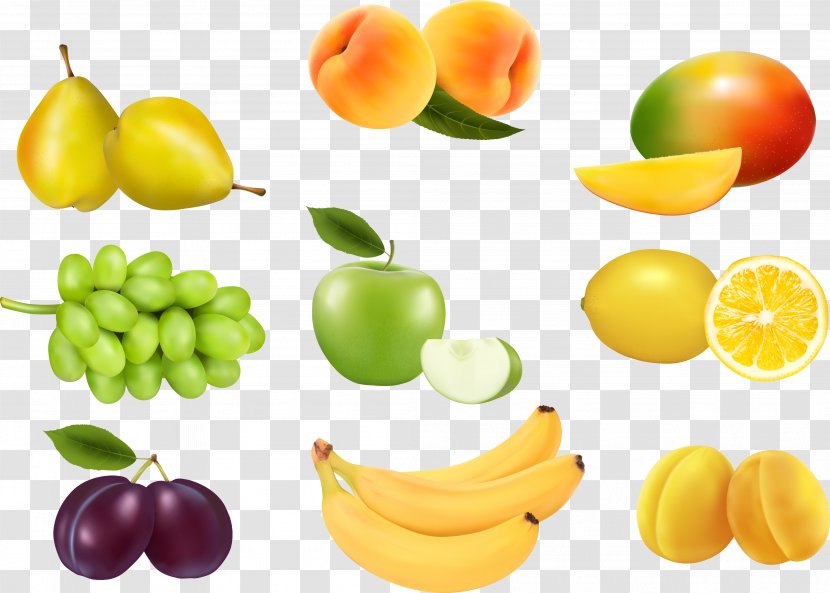 Fruit Drawing - Nutraceutical - Berries Transparent PNG