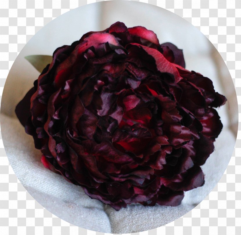 Maroon Thumbnail Peony Photography - Peonias Transparent PNG