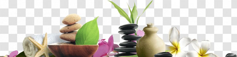 Day Spa Massage Beauty Parlour Nu & Nail - Flower - Flowering Plant Transparent PNG