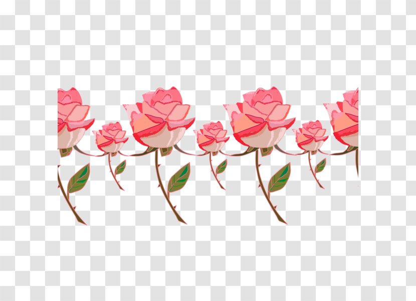 Garden Roses Floral Design Flower - Pink - Rose Transparent PNG