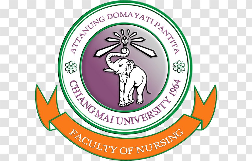 Chiang Mai University Central Michigan Carnegie Mellon Faculty Of Nursing - College Transparent PNG