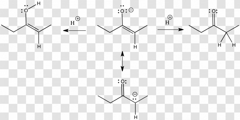 Enolate Anion Nucleophile Carbonyl Group - Symmetry - Plot Transparent PNG