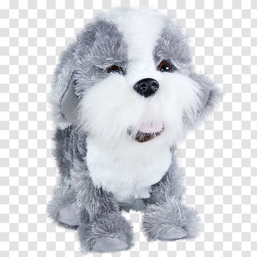 Beagle Shih Tzu Dog Paddle Puppy Grey - Snout Transparent PNG