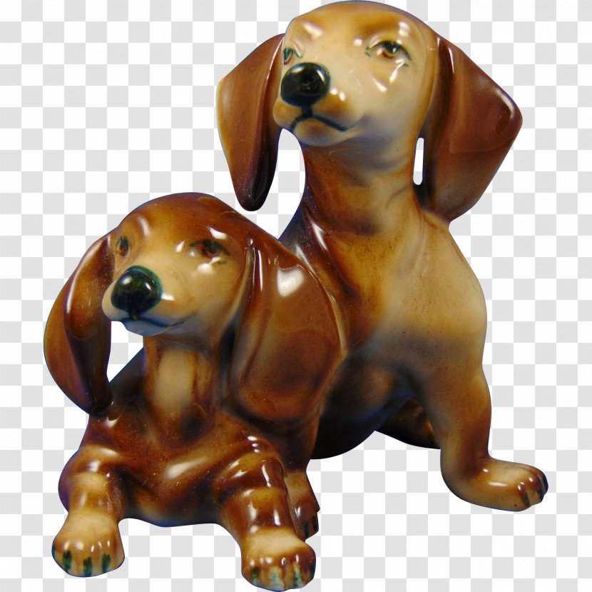 Dachshund Puppy Dog Breed Companion Snout Transparent PNG