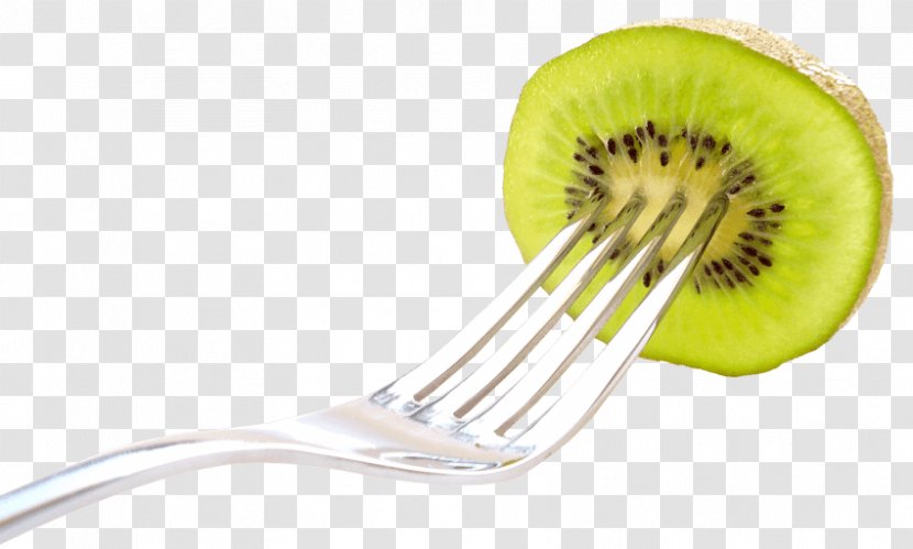 Kiwifruit Fork Wiring Diagram - Kiwi Transparent PNG
