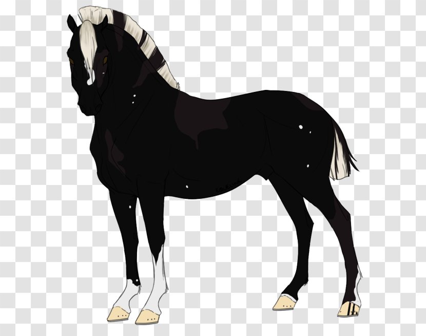 Stallion Mustang Mare Foal Halter - Horse - Murder Of Crows Transparent PNG