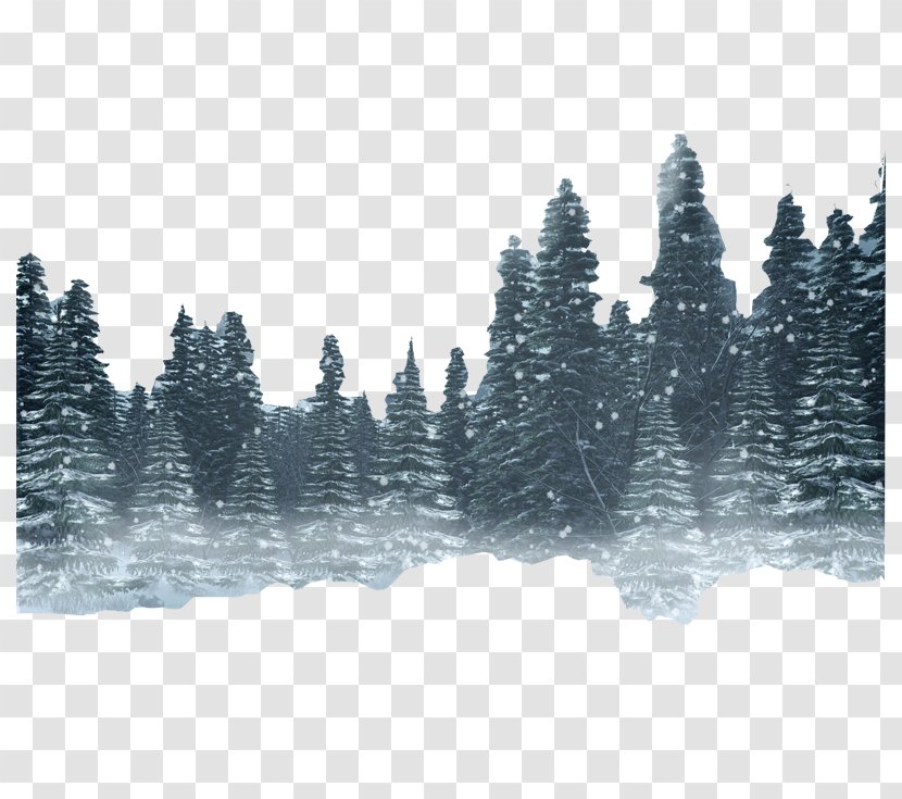 Snow Forest Winter Transparent PNG