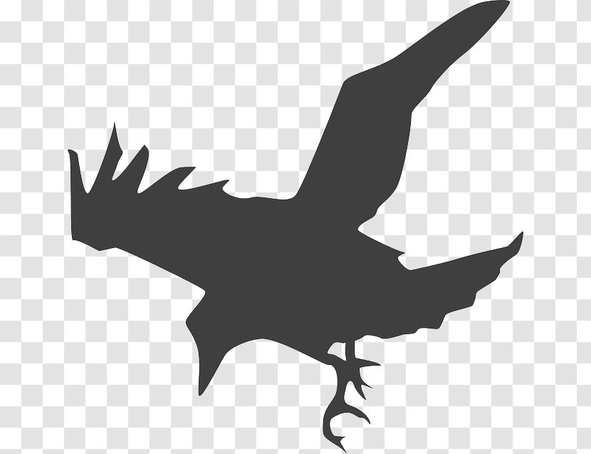 Common Raven Crow Clip Art - Bird Transparent PNG
