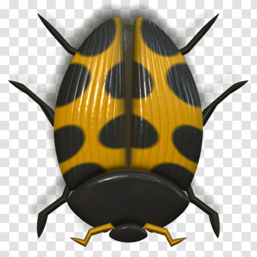 Beetle Animal - Animation - Ladybug Transparent PNG