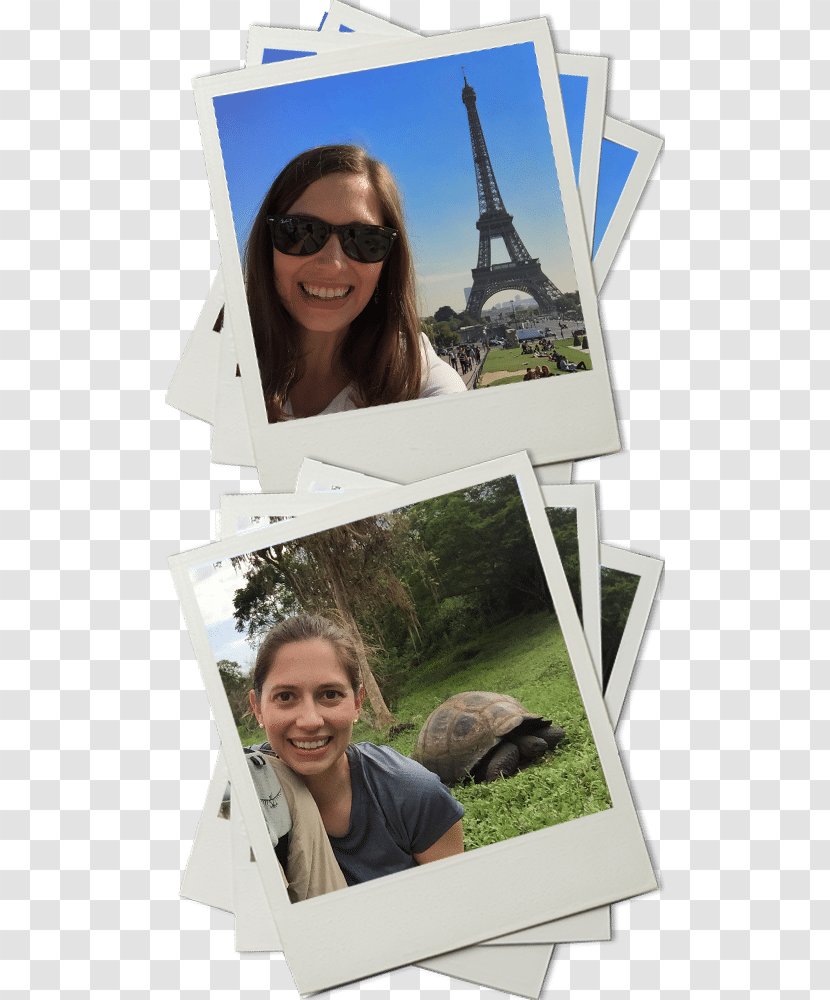 Glasses Travel Photographic Paper TripAdvisor - Tripadvisorcom Transparent PNG