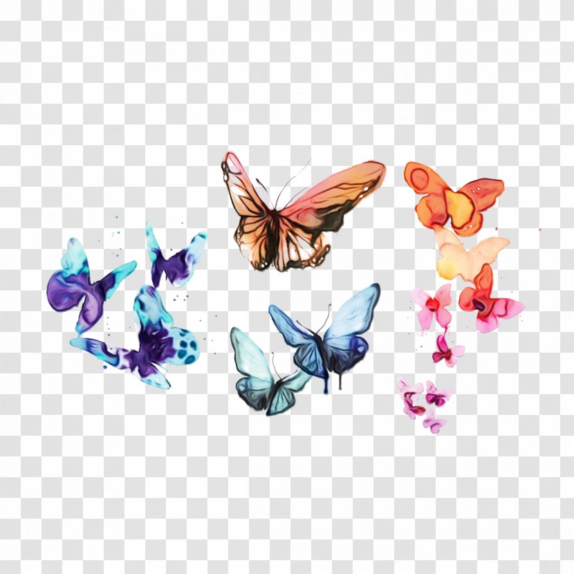 Monarch Butterfly - Wing - Animal Figure Transparent PNG