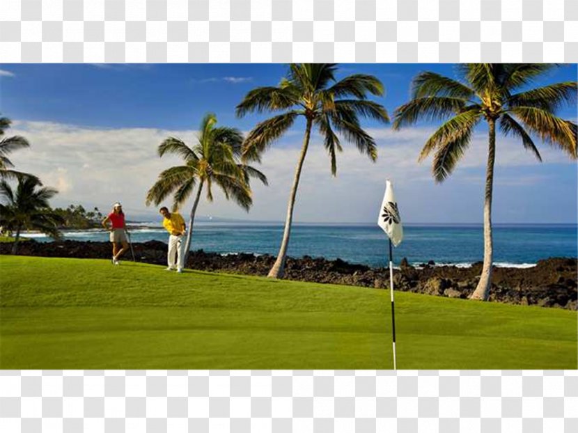 Hilton Waikoloa Village Hawaiian Waikiki Beach Resort Kings' Land By Grand Vacations - Sport Venue - Hotel Transparent PNG