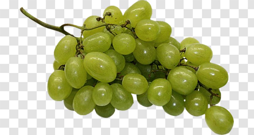 Organic Food Juice Common Grape Vine Sultana Wine - Plant Transparent PNG