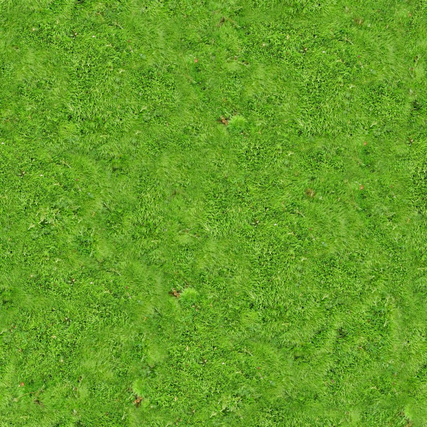 Vegetation Lawn Grassland Green - Meadow - Carpet Transparent PNG