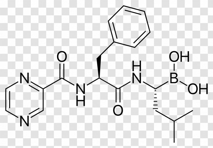 Small Molecule Bortezomib Chemical Compound Molecular Mass - Text Transparent PNG