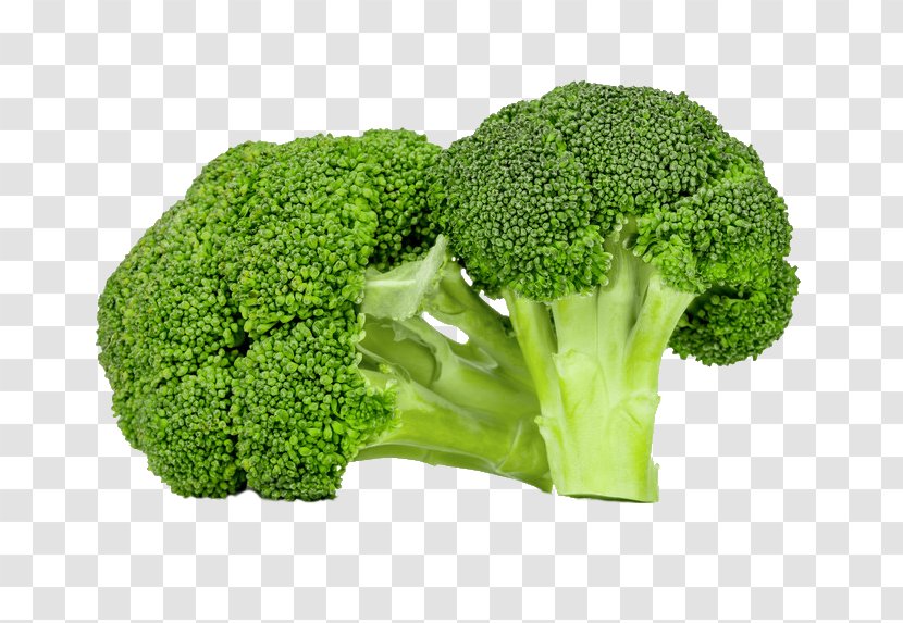 Broccoli Superfood Concept Evergreen - Food Transparent PNG
