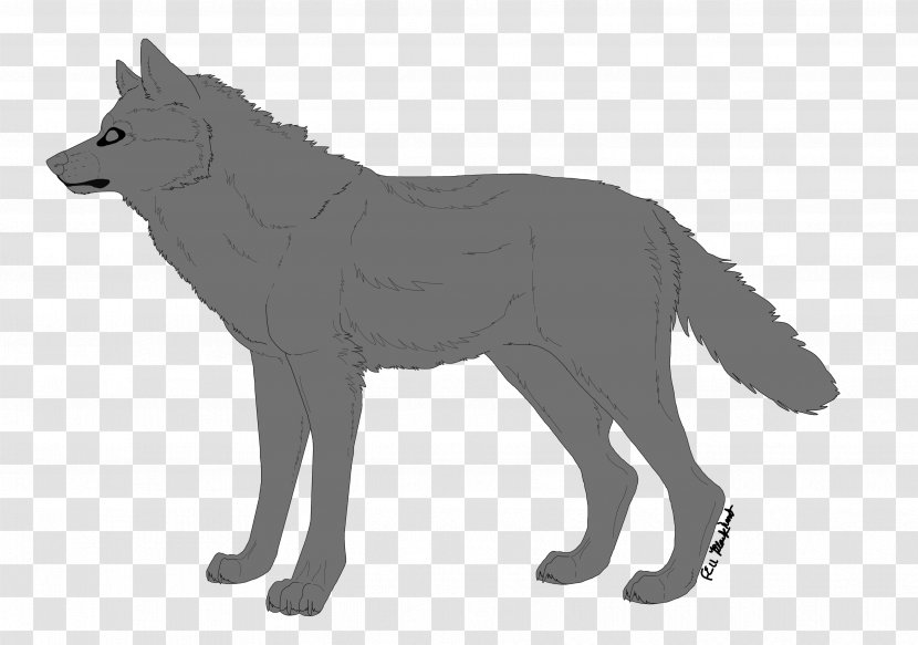 Line Art Dog Red Fox Drawing - Canidae - Wolf Transparent PNG