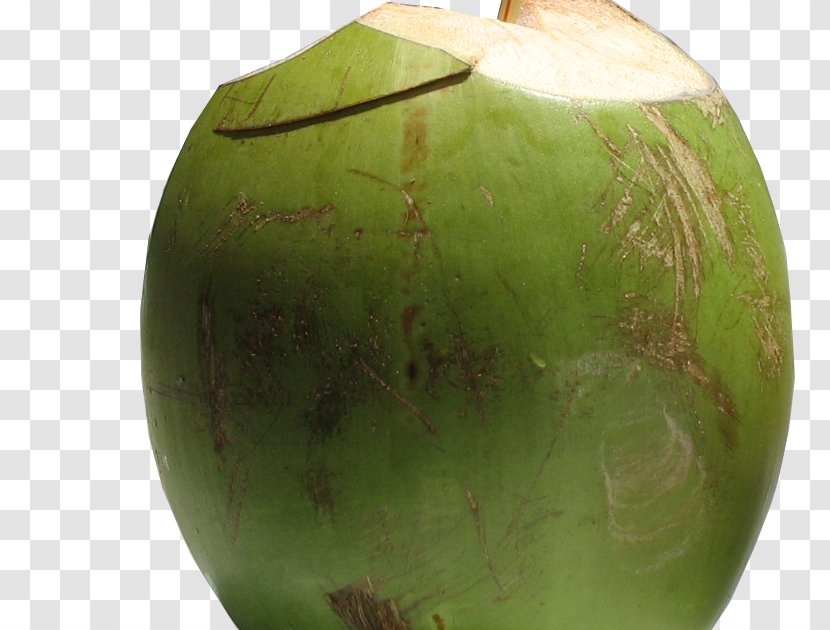 Coconut Water Juice Fizzy Drinks Sports & Energy - Melon Transparent PNG