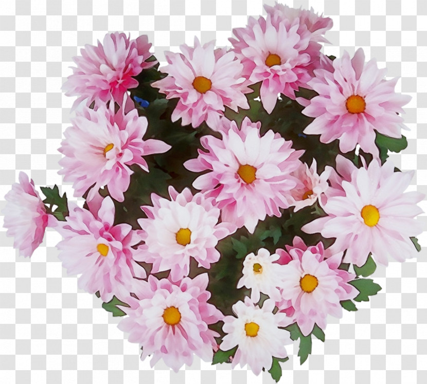 Floral Design Transparent PNG