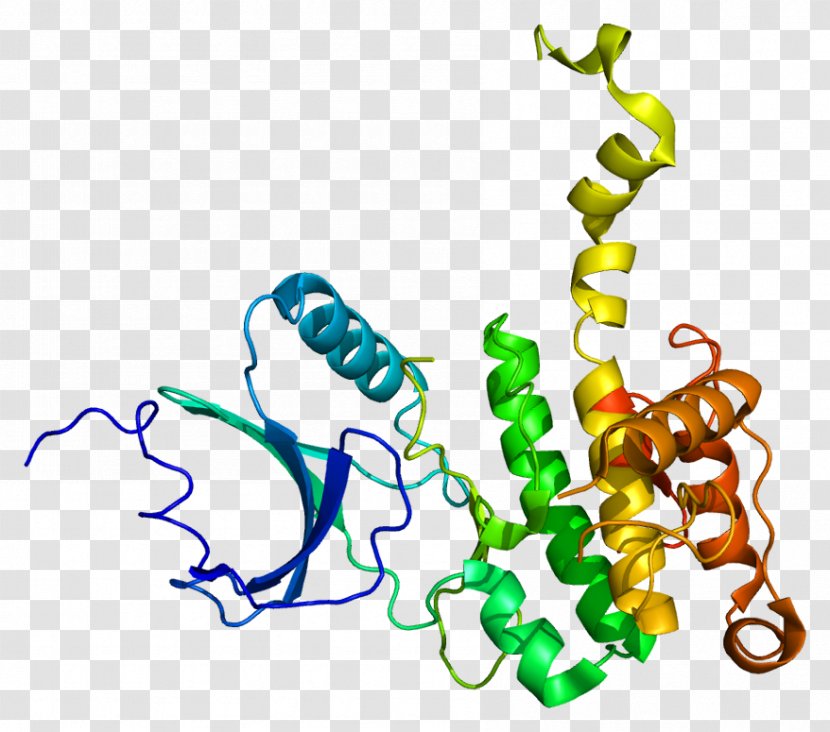 Serine/threonine-specific Protein Kinase MKNK2 - Watercolor - Frame Transparent PNG