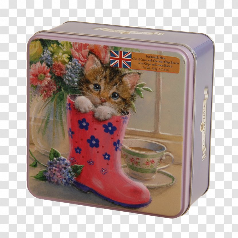 Post Box Biscuit Tin Decorative Kitten - Grandma Wilds - Wellington Boot Transparent PNG