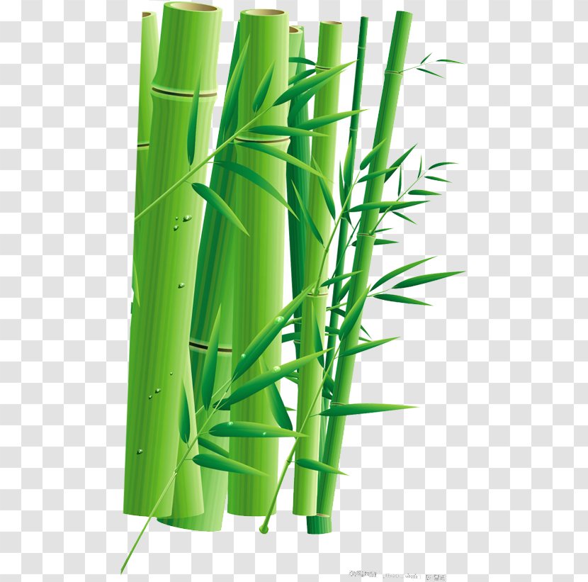 Zongzi Dragon Boat Festival Bamboo U7aefu5348 Transparent PNG