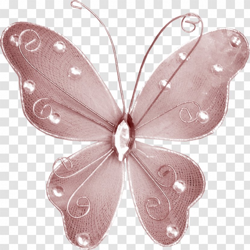 Butterfly Papillon Dog Download - Moths And Butterflies - Beautiful Transparent PNG