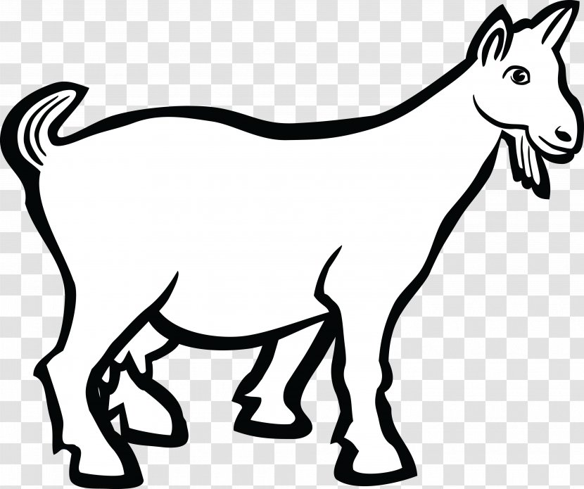 Boer Goat Line Art Drawing Clip - Monochrome Photography Transparent PNG