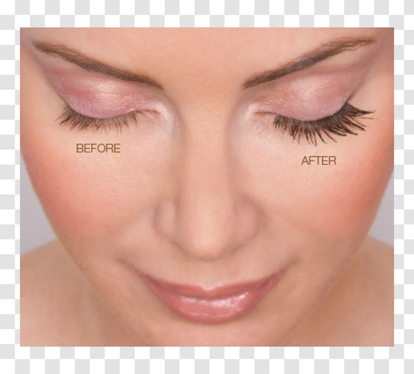 Eyelash Extensions Lip Gloss Eyebrow Eye Shadow - Close Up - Nose Transparent PNG