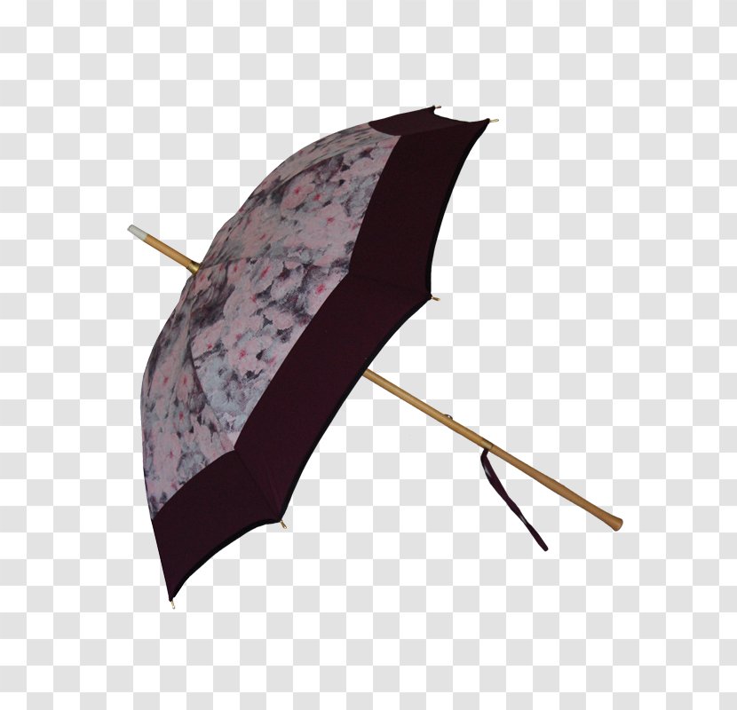 Umbrella Ombrelle Walking Stick Crook, Cumbria - Handle Transparent PNG