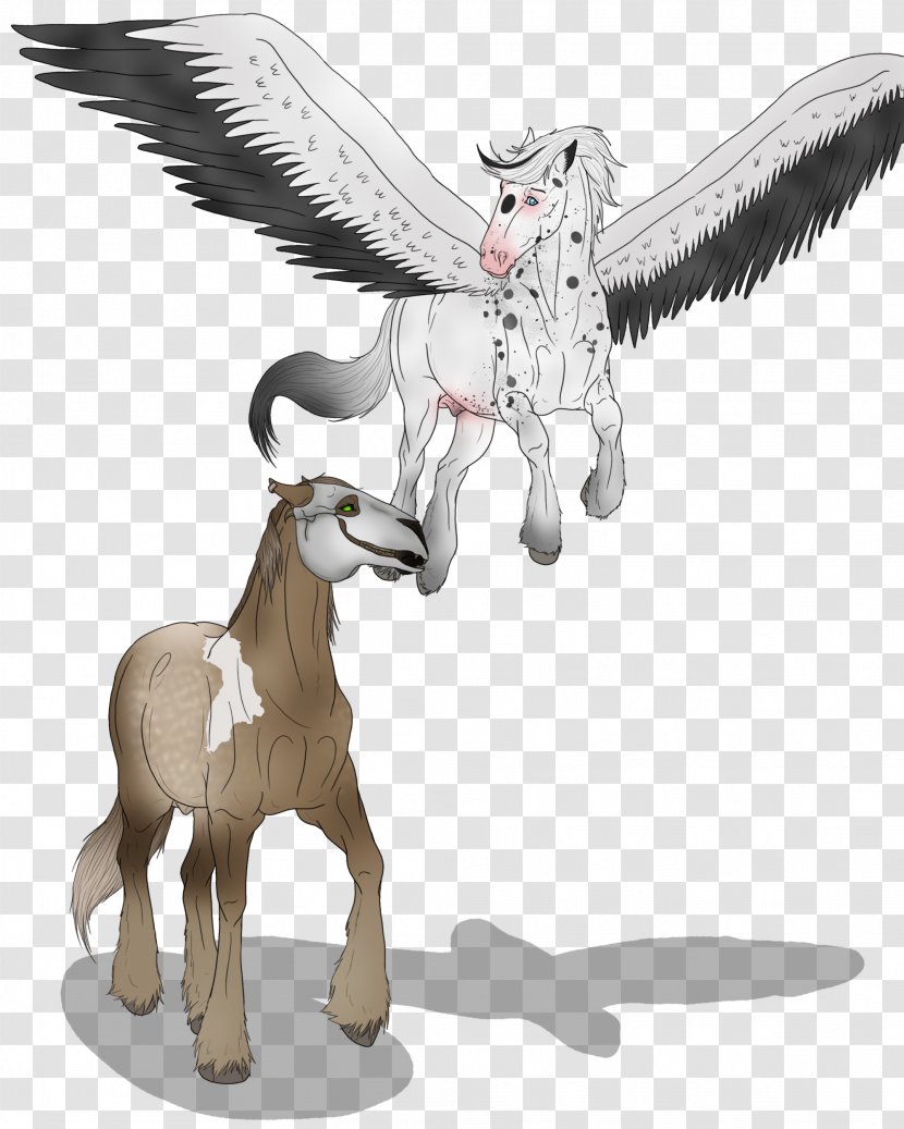 Foal Pony Horse Mare Donkey Transparent PNG